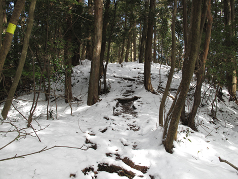 20140211hike (52)
